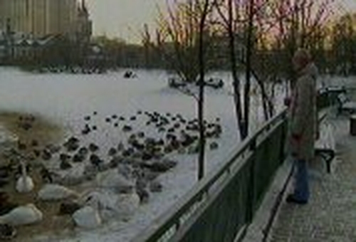 Moscow - 24 killed in cold snap