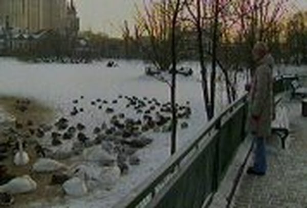 Moscow - 123 die in cold snap