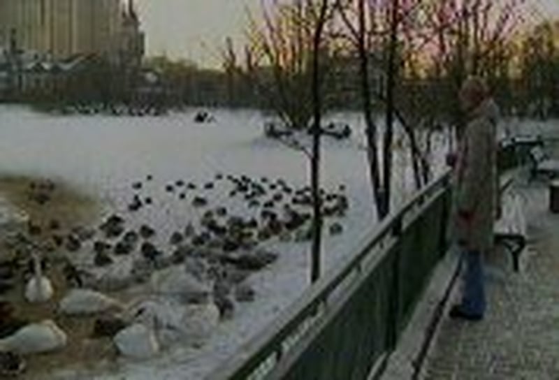 Moscow - 123 die in cold snap