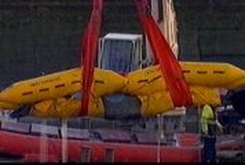 Whale - Winched from River Thames earlier