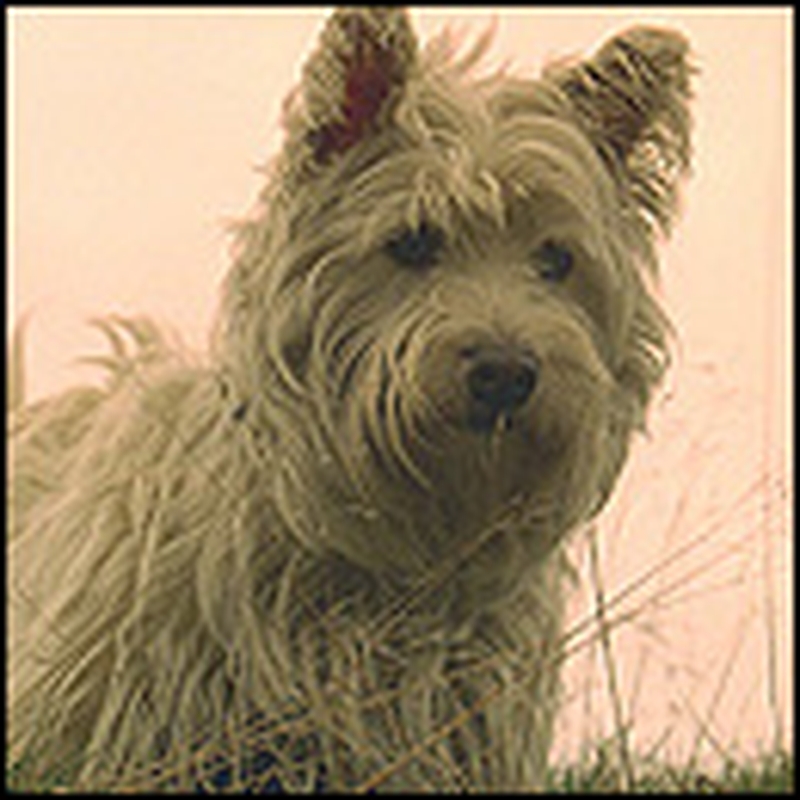 An amazing performance