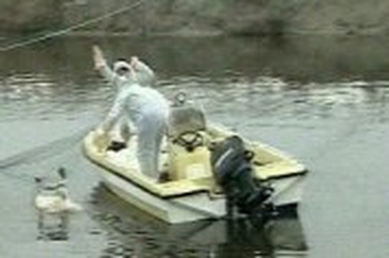 Bird flu - Spreading across Europe