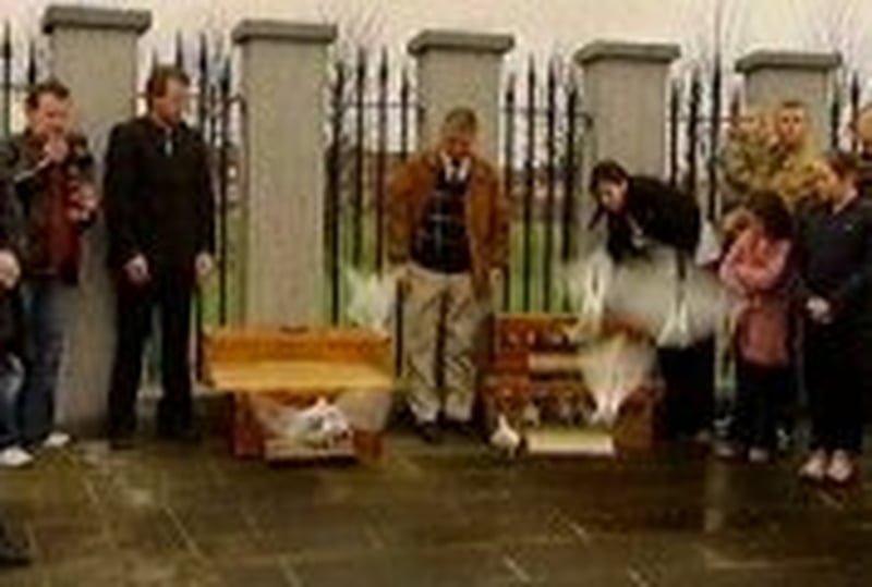 Stardust Memorial Garden - 48 white birds released