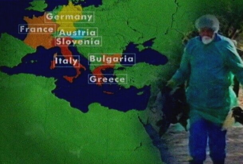Bird flu - Virus spreading across Europe