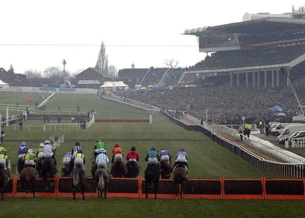 Diamond Harry was due to run at Cheltenham last weekend