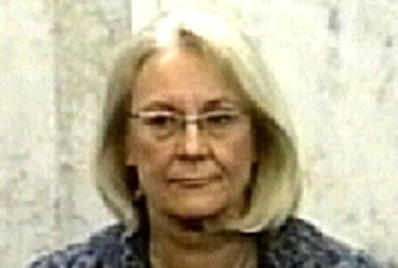 Laila Freivalds - Quit over website claims