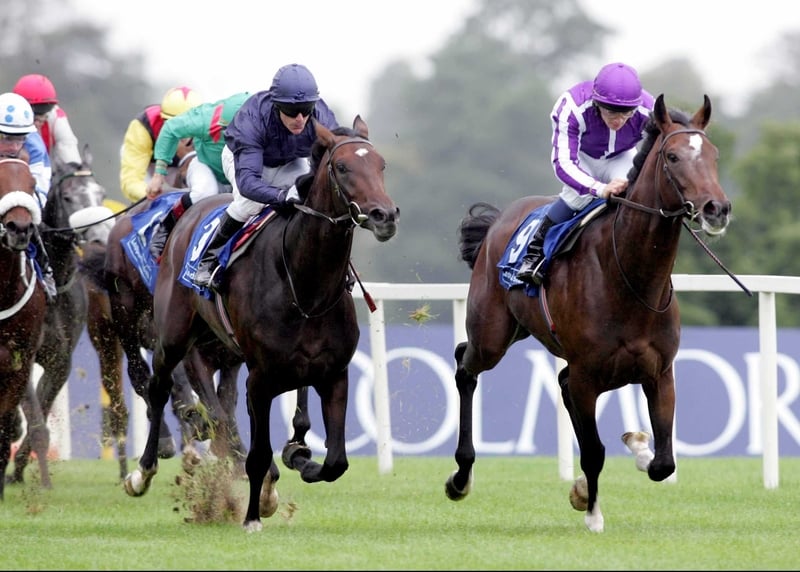 Aidan O'Brien's Septimus was unable to stay the pace in Melbourne