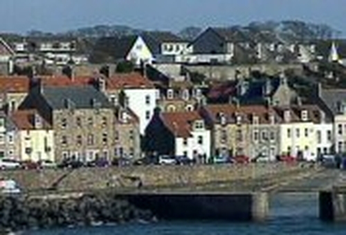 Fife - 1st UK H5N1 strain found in dead swan