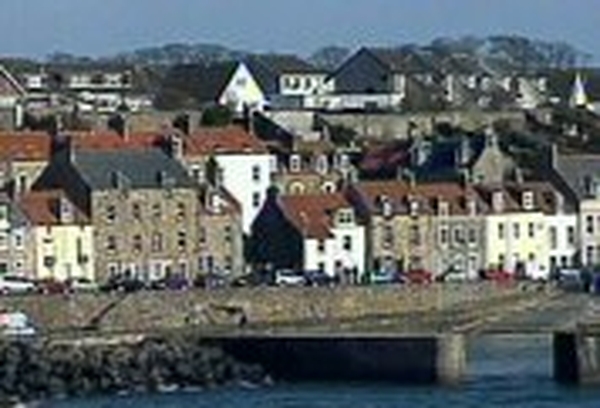 Fife - 1st UK H5N1 strain found in dead swan
