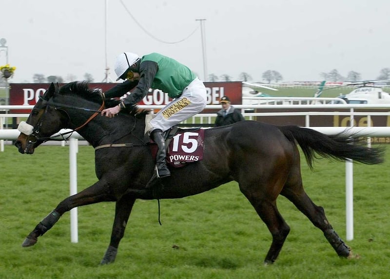 Numbersixvalverde had a good run out in Fairyhouse today, finishing fourth on heavy ground