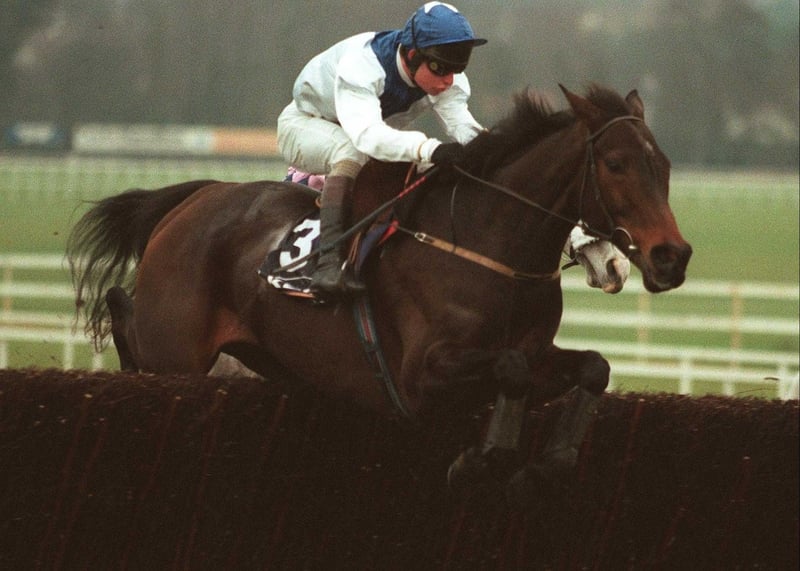 Danoli's best finish in Cheltenham was third place in the Champion Hurdle