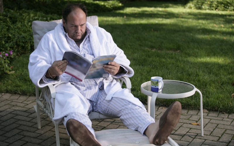 James Gandalfini as Tony Soprano
