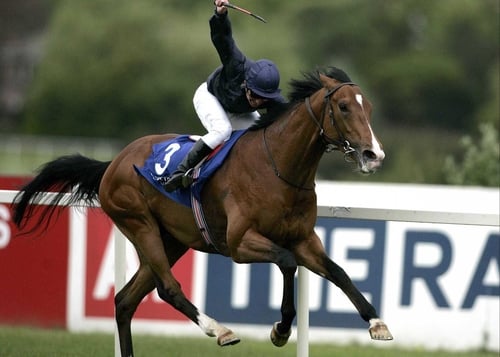 Dylan Thomas, winner of today's Irish Derby