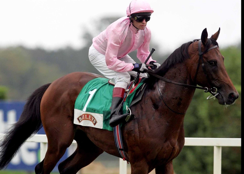 Ace will carry Irish hopes in the Prince Of Wales's