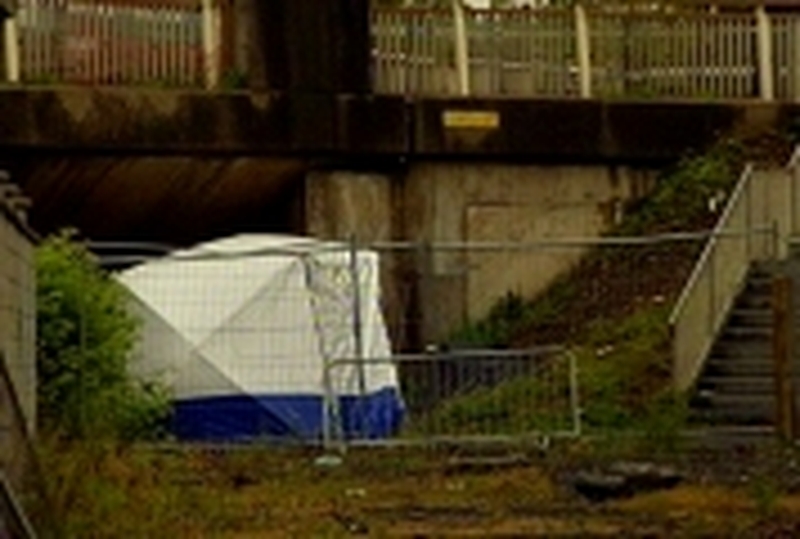 Limerick - Mr Ryan's body was found under Shannon Bridge