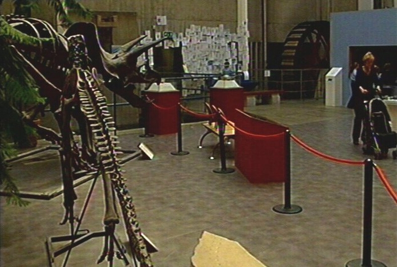 Ulster Museum - Maintenance standards criticised