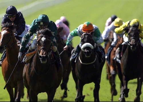 Racing Post - Irish buyers