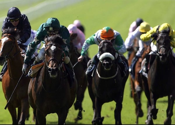 Racing Post - Irish buyers