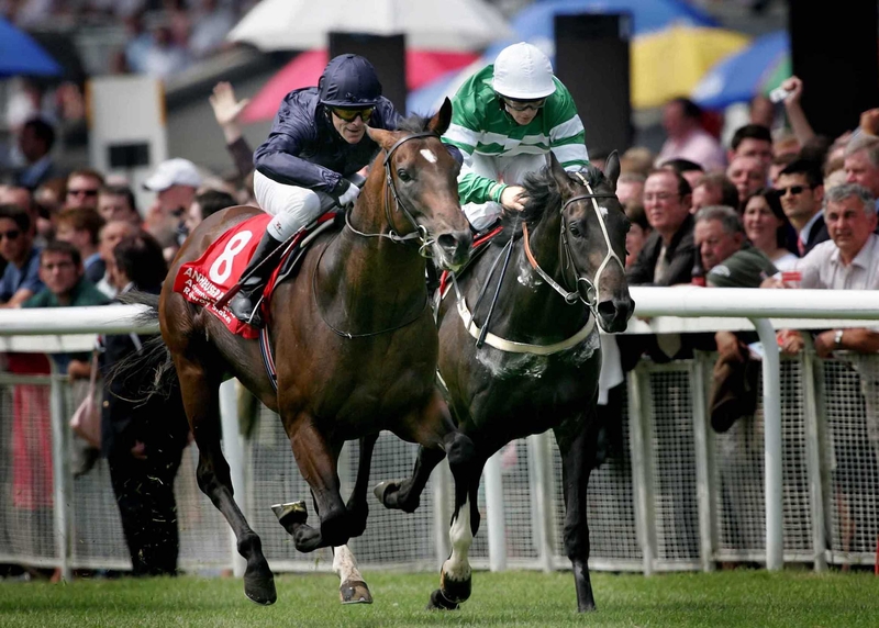 Holy Roman Emperor (left) was expected to shine in the upcoming flat season