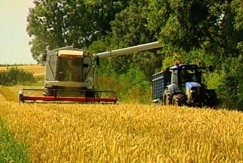 Wheat prices - At 10-year highs