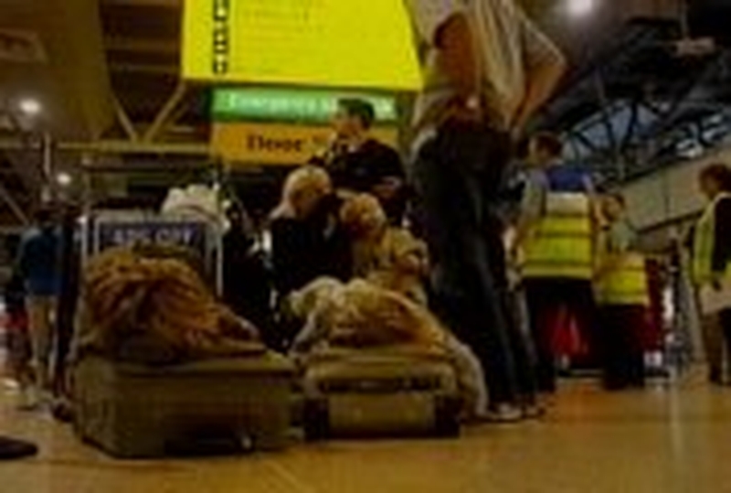 UK airports - Getting back to normal