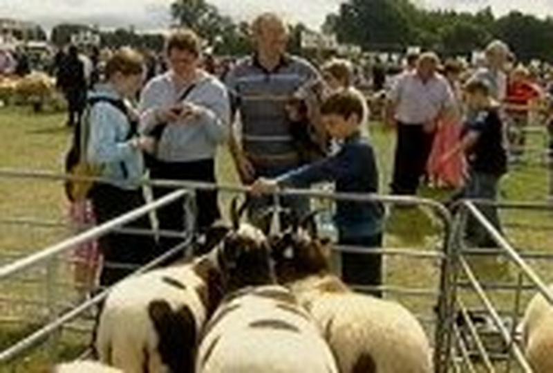 Tullamore Agricultural Show - Cancelled for second consecutive year