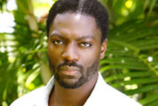 Adewale Akinnuoye-Agbaje - Arrested in Hawaii