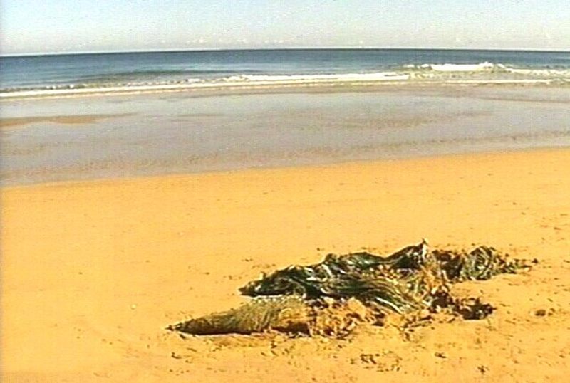 Portrush, Co Antrim - Man dies after glider crash