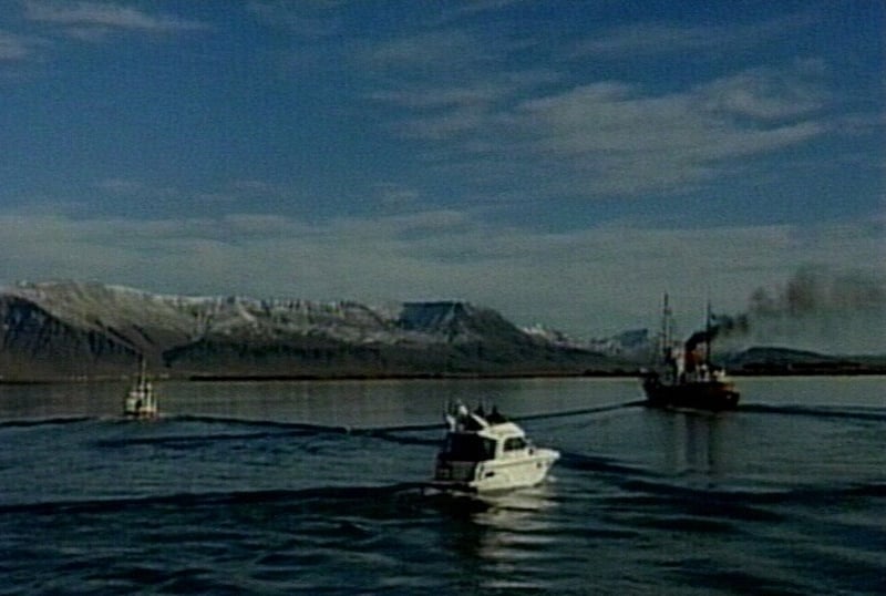 Iceland - Whale hunts to resume