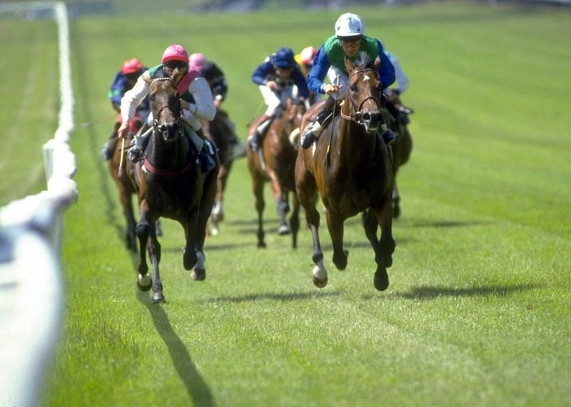 El Gran Senor in action at the 1984 Irish Sweeps Derby