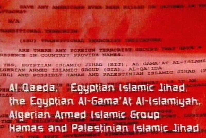 US documents - Irish cells revealed