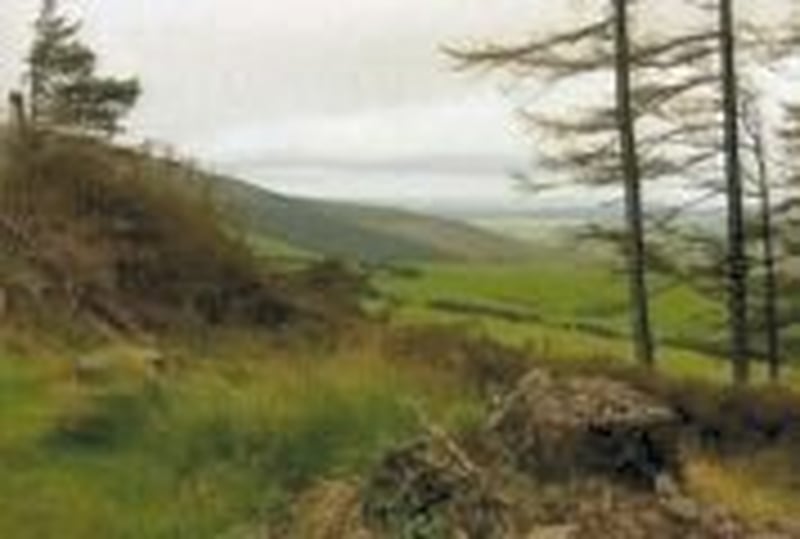 Carlow - Quantity of explosives found