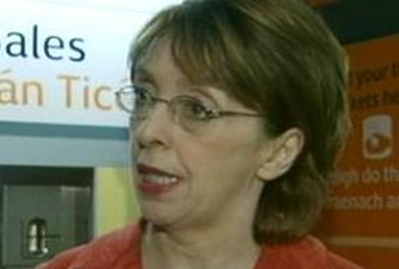 Roisin Shorthall - Opposing fare increase