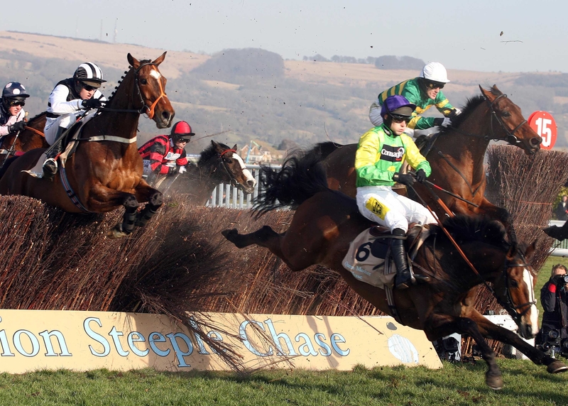 Kauto Star (centre) in action at last season's Cheltenham Festival