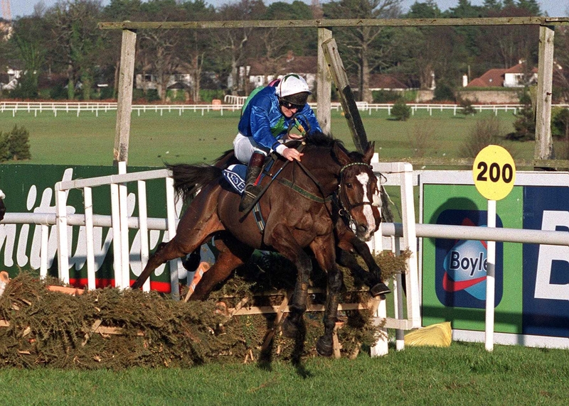 Adamant Approach is back over hurdles tomorrow