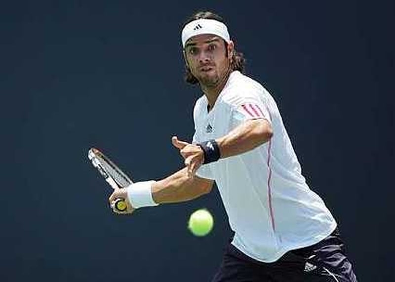 Fernando Gonzalez was one of the players who made it through today