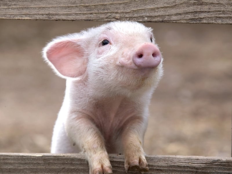 A hugely enjoyable adaptation