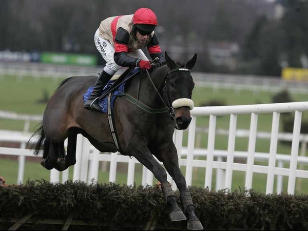 Aran Concerto is recovering well