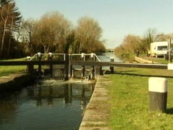 Grand Canal - Threat from invasive species