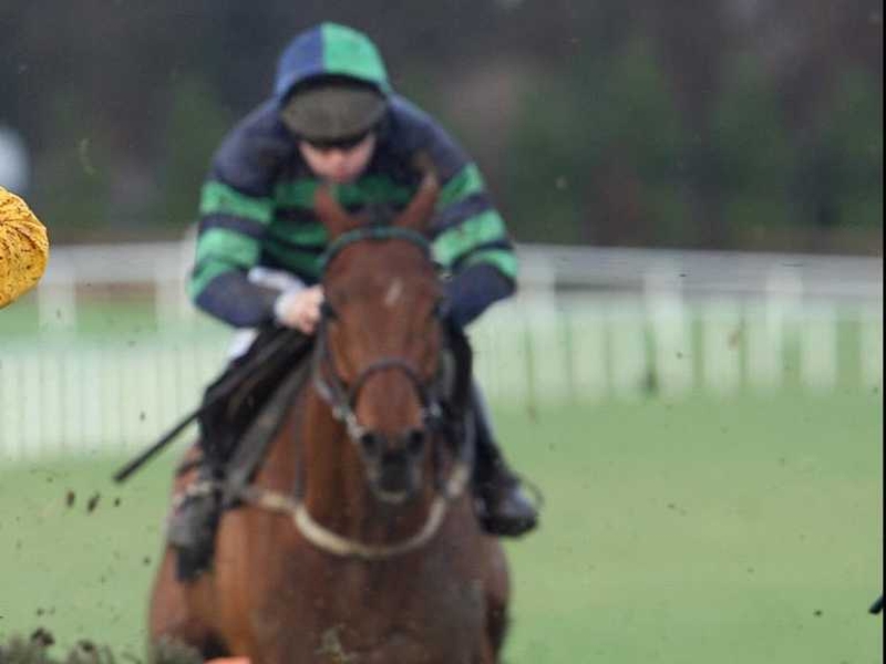 Al Eile to return on final day of Flat campaign