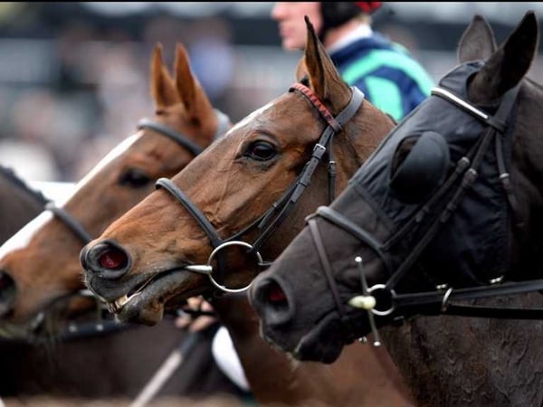 Ground will guide Ashkazar decision