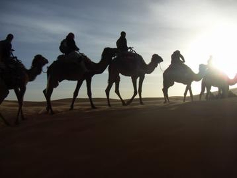 Camel Cosmetics? - A camel dairy farmer in Mauritania hopes to market camel milk lotion in Europe - Photo credit: Kathy Beight