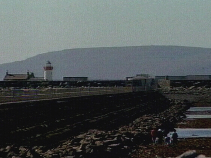 Mutton Island - Controversy over plant