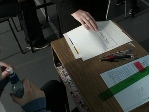 Leaving Certificate - No Irish version of syllabuses - ombudsman