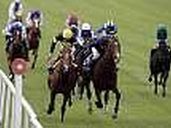 Secret to be let out at Newmarket