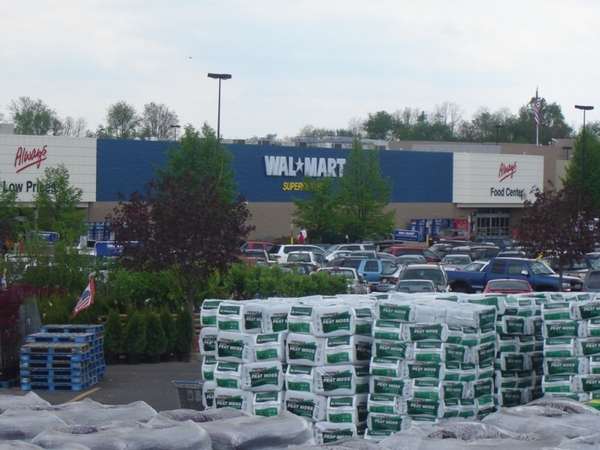 Wal-Mart results - 22% rise in profits