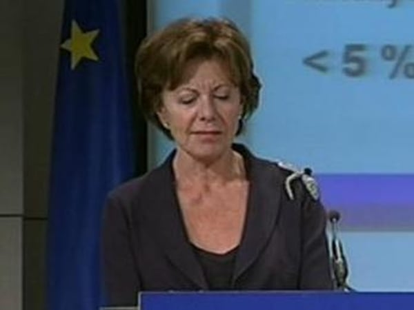 Neelie Kroes - Banks to be broken up?