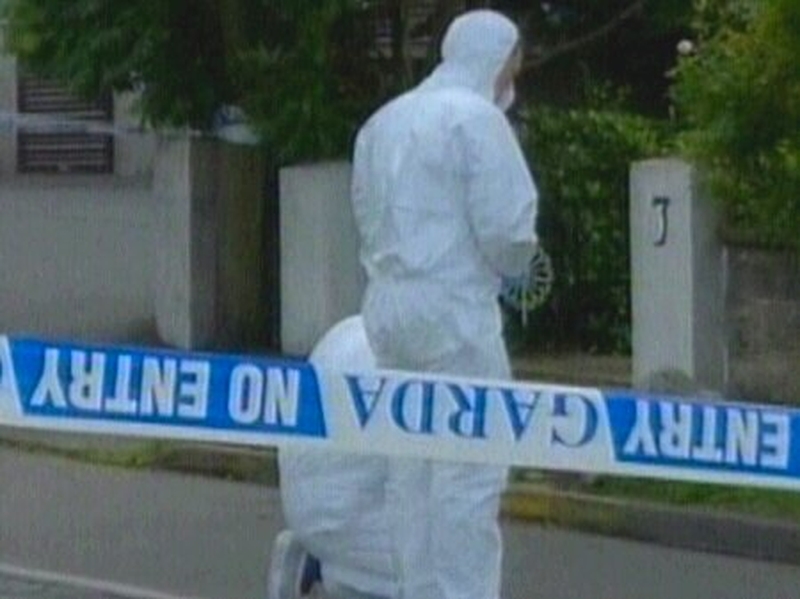 Stillorgan - Shooting left victim needing permanent care