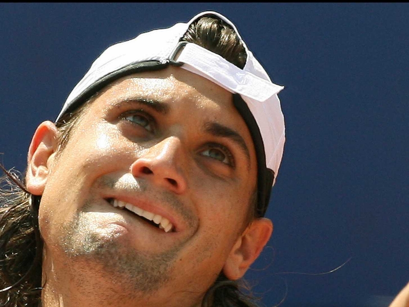 David Ferrer will face Roger Federer in Sunday's final