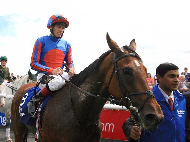 Peeping Fawn has been one of the equine stars of 2007